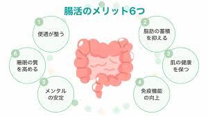 正しい腸活について